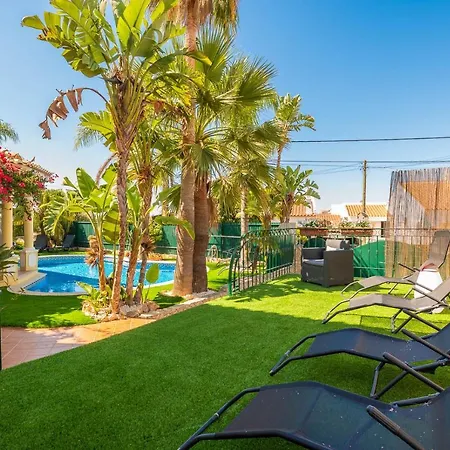 Oasis Tropical, Jardim E Piscina! *